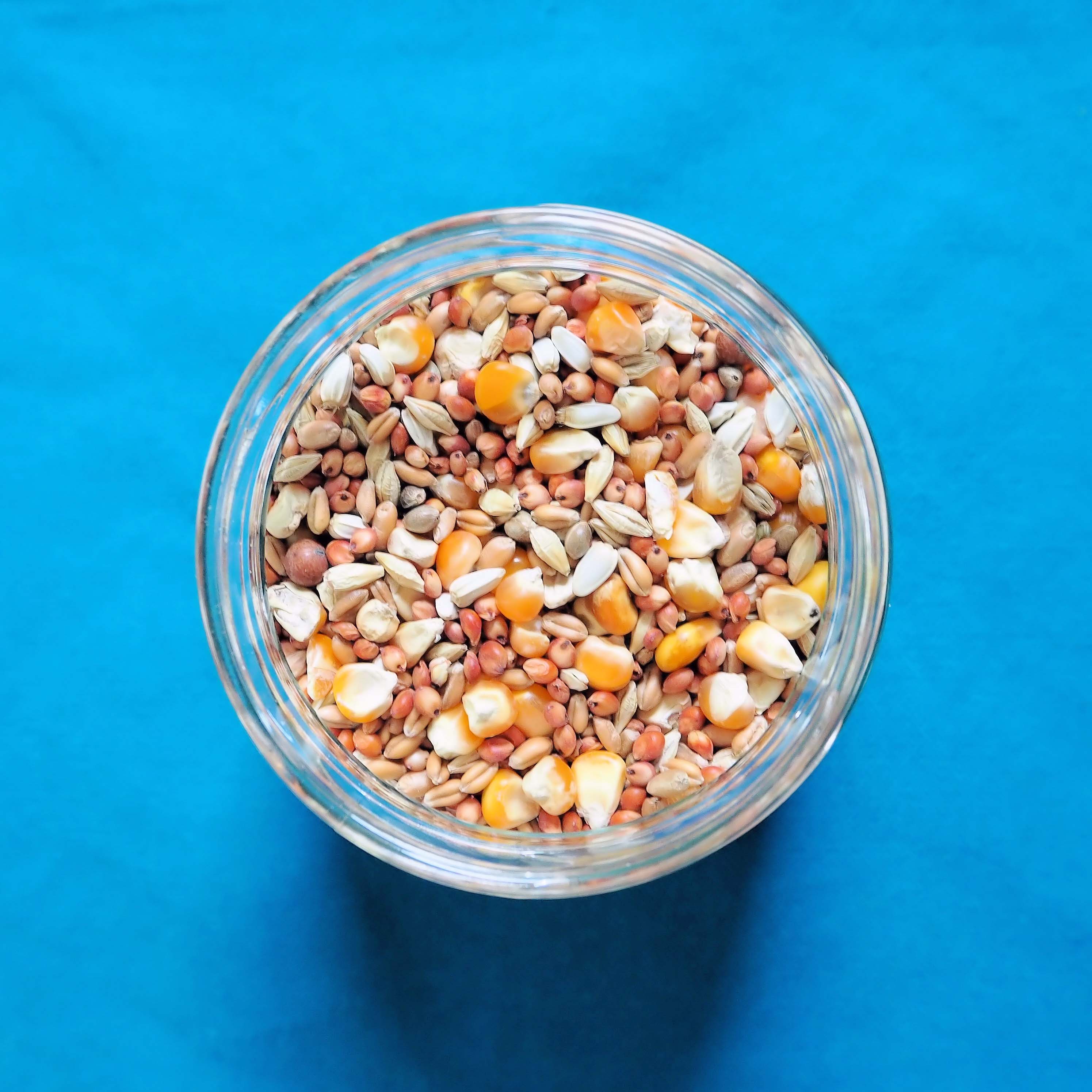 国産飼料のイメージ